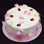 ladybugs butterflys & daisies  cake from £ 45 (6")